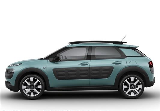 C4 Cactus (2014+)